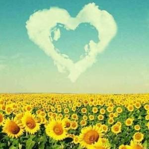 Meet your Posher, Rhiannon